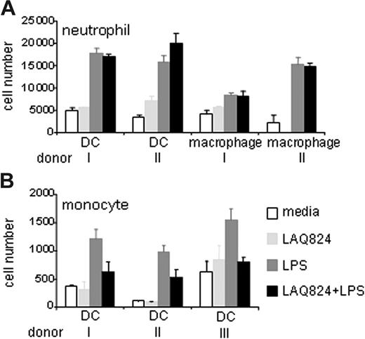 Figure 4. LAQ824 inhibits LPS-induced monocyte but not neutrophil chemotaxis. Migration of human neutrophil (A) and LPS-stimulated monocytes (B) toward the supernatant from macrophage and DC cultures treated with indicated stimuli for 24 hours. Representative of 3 independent experiments.
