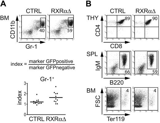 Figure 6. RXRαΔ promotes granulopoiesis in vivo. (A) Murine BM cells transduced with RXRαΔ-IRES-GFP or empty control vector were injected into irradiated recipients. BM cells were analyzed between days 38 and 66 after BM transplantation. FACS diagrams represent gated GFP+ cells analyzed for Gr-1 versus CD11b. Values depict the percentages of total Gr-1hiCD11b+ BM cells (top panel). Values in index charts were calculated according to the formula shown. Each dot represents data from 1 mouse (bottom diagram). Horizontal bars represent the mean values. P < .05 according to a paired 2-tailed Student t test. (B) Analysis of gated GFP+ cells (CD4+CD8+ thymocytes, B220+IgM+ splenocytes, and Ter119+ BM erythroid cells) from mice reconstituted with CTRL- or RXRαΔ-transduced BM. Numbers depict percentages of cells in each quadrant or region. Data are representative of 3 independent BMT experiments (n = 11 mice).