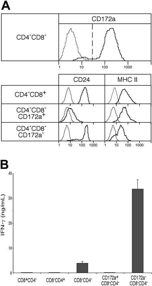 Figure 4. The presence of an early form of the CD8+ cDC lineage within the CD4−8− cDC preparations, and its capacity to produce IFN-γ. (A) CD4−8− cDCs, sorted from NK-marker–depleted cDC preparations as in Figure 1 and analyzed as in Figure 3A, were segregated into CD172a+ (Sirpα+), typical CD4−8− cDCs and into a minor subset of CD172a− (Sirpα−) cells, which when analyzed were less developed (by surface MHC II expression) and which had the CD172a− CD24+ phenotype of the typical CD4−8+ cDCs. Gray lines represent background fluorescence from samples with only the relevant stain omitted; black lines represent the fluorescence of the positively stained sample. (B) IFN-γ production (in ng/mL) was measured in the supernatant 65 hours after culture with IL-12 and IL-18 of 105 cells (in 0.2 mL) of the fractions from panel A. Results are the means plus or minus SD of 4 cultures from the one experiment, typical of 3.