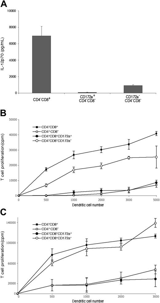 Figure 5. The functional properties of the CD172a− CD24+ cells within the CD4−8− cDC subset preparations. The cDC subsets were isolated as in Figure 1 using the NK-marker depletion protocol, then the CD172a positive and negative fractions of the CD4−8−CD11chi subset separated as in Figure 4. (A) Production of IL-12p70 following stimulation with CpG 1668, IL-4, GM-CSF, and IFN-γ. Production is from 105 cells in 0.2 mL medium for 40 hours. The mean plus or minus SD of 3 cultures is given for one experiment, typical of 2. (B) Ability to process and cross-present on MHC I soluble antigen in vitro, assayed by culture of freshly isolated cDC fractions with ovalbumin and OT-I CD8 T cells. Points are the mean of 4 cultures plus or minus SD. One experiment typical of 2 is shown. (C) Ability to process and cross-present soluble antigen on MHC I in vivo, assayed by isolation of cDC fractions 20 hours after injection of mice with lipopolysacchride followed by ovalbumin, then culture of the cDC fractions with OT-I CD8 T cells without addition of ovalbumin. The result is a single experiment. Points are the mean of 3 to 4 cultures plus or minus SD.