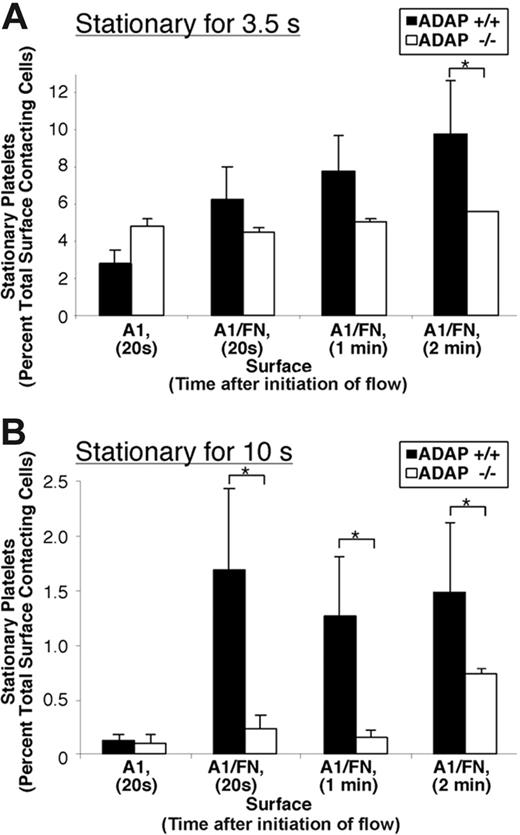 Figure 4. GP Ib-IX-V–induced αIIbβ3 activation under shear flow. Whole blood from ADAP+/+ or ADAP−/− mice was adjusted to correct for thrombocytopenia of ADAP−/− mouse blood and aspirated over a coverslip coated with dmA1A2 VWF, with or without fibronectin (FN), and placed in a parallel plate flow chamber. The total number of platelets tethering to the surface was measured, and the percentage of these platelets that remained stationary for 3.5 seconds or 10 seconds was determined at 20 seconds, 1 minute, or 2 minutes after the initiation of flow. Results represent stationary platelets, as a percentage of the total number of platelets contacting the surface within the sampling time, ± SEM. (A) Platelets stationary for 3.5 seconds. (B) Platelets stationary for 10 seconds. Stationary adhesion (dependent on αIIbβ3 activation) is much higher for platelets on the combined dmA1A2 VWF/FN surface than on dmA1A2 VWF alone. Results shown are the summary of at least 3 experiments. *P < .05 in a Student t test for ADAP−/− platelets compared with ADAP+/+ platelets.