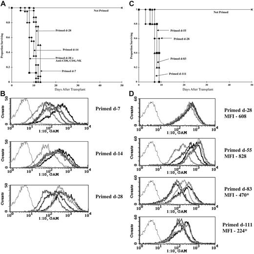 Figure 1. Allosensitization results in antibody-mediated donor BM rejection. (A,C) B6 mice were lethally irradiated on day −1 (8.0 Gy) and infused with 20 × 106 (A) or 40 × 106 (C) BALB/c BM on day 0. Mice were primed at various times prior to BMT by the intraperitoneal administration of 20 × 106 BALB/c splenocytes. One group received anti-CD4, anti-CD8, and anti-NK mAbs around the time of transplantation (A). Survival is shown. (A) n = 16 to 26/group; data from 2 to 3 separate experiments with similar results were pooled. (C) n = 5/group. (B,D) Serum was collected from BALB/c-primed B6 mice after the indicated interval, diluted, and incubated with BALB/c thymocytes. Cells were washed and incubated with FITC-conjugated goat anti–mouse Ig Ab and analyzed by flow cytometry. Overlay histograms indicate alloantibody in diluted serum from 5 different mice binding to BALB/c thymocytes. Negative control of FITC-conjugate binding to thymocytes in absence of serum is indicated by the thin dotted line. Average mean fluorescent intensity (MFI) is listed for panel D. (D) *P < .05 versus primed day −28; n = 5. Each bold line represents a different mouse.