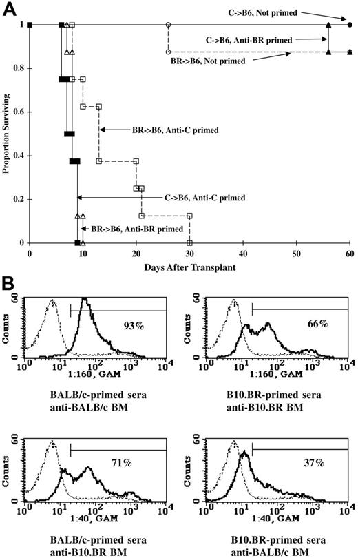 Figure 2. Priming to one alloantigen can result in the elimination of third-party BM indicating nonspecificity in the priming response. (A) B6 mice were primed against BALB/c or B10.BR (BR) by the intraperitoneal administration of 20 × 106 splenocytes, lethally irradiated on day −1 (8.0 Gy), and infused with BALB/c or BR BM (20 × 106) on day 0. Survival is shown. n = 8/group. (B) Serum was pooled from BALB/c- or B10.BR-primed B6 mice (n = 5) and incubated with BALB/c or B10.BR BM. Histograms illustrate binding of serum antibody to BM of priming strain (top panels) and third-party strain (bottom panels). Percentage positive binding is given. Negative control is shown by thin dashed line.