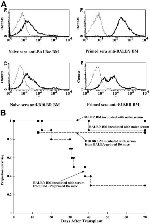 Figure 3. The ex vivo incubation of donor BALB/c BM with serum from BALB/c-primed B6 mice results in the destruction of the antibody-coated donor BM cells in a nonprimed B6 recipient. (A) Serum was collected from naive or BALB/c-primed mice, diluted 1:20, and incubated with BALB/c or BR BM. BM was thoroughly washed. An aliquot was incubated with FITC-conjugated goat anti–mouse Ig Ab and analyzed by flow cytometry. Histograms indicate binding of serum alloantibody to BALB/c or BR BM. Negative control of FITC-conjugate binding to BM in absence of serum is indicated by the thin dotted line. (B) Nonprimed B6 mice were lethally irradiated (8.0 Gy) and infused with BALB/c or BR BM cells (10 × 106) that had been incubated with serum from naive or BALB/c-primed B6 mice as shown in panel A. Survival is shown. n = 8 to 10/group; BALB/c BM incubated with naive versus BALB/c-primed serum, P = .003. Results were reproduced in a second experiment.