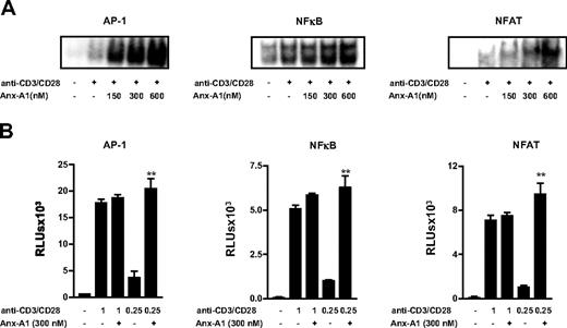 Figure 2. Anx-A1 increases the strength of TCR signaling. (A) Electrophoretic mobility shift assay showing the effect of hrAnx-A1 on anti-CD3/CD28 (1.25μg/mL)–induced AP-1, NF-κB, and NFAT activation in T cells. Results are representative of 3 separate experiments with similar results. (B) Jurkat T cells were transfected with pAP-1-luc, pNF-κB-luc, and pNFAT-luc reporter constructs (3.0 μg) for 24 hours. Thereafter, cells were stimulated with the indicated concentrations of anti-CD3/CD28 in the presence or absence of hrAnx-A1 for 6 hours and then lysed to measure the luciferase activity. Values are the mean ± SE of 3 experiments in triplicate. **P < .01.