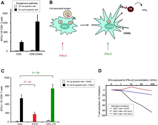 Figure 1. Type I IFNs have a dual effect on cross-presenting conventional DCs. (A) Cross-presenting DCs require CD40L for maximal T-cell activation. DCs loaded with exogenous antigen were prepared by cross-presentation of influenza infected apoptotic cells (DCs x/p flu-apoptotic cells) and compared to uninfected apoptotic cells (DCs x/p apoptotic cells). DC groups were cultured with syngeneic purified CD8+ T cells. T-cell activation was monitored by IFN-γ ELISPOT and displayed as spot-forming cells (SFCs)/106 CD8+ T cells. Recombinant CD40L was added to cultures as indicated. (B) The effects of IFN-α/β were tested on immature and mature DCs, respectively. As illustrated, IFN-α/β was added to iDC during antigen capture and maturation or to mDCs during CD40 cross-linking and CD8+ T-cell engagement. (C) DCs cross-presenting uninfected (unfilled bars) or influenza loaded (filled bars) apoptotic cells were treated with media alone (black bars), exposed to 60 IU/mL IFN-α/β during antigen capture (red bars), or 60 IU/mL IFNα/β following maturation and antigen presentation (green bars). Data are representative of 10 experiments with statistical P indicated. Similar results were obtained when using recombinant IFN-α (data not shown). (D) iDCs were exposed to a dose range of IFN-α/β (concentration 0-600 IU/mL). In the case of direct presentation of antigen, mDCs were directly infected with influenza virus (flu DC). For cross-presentation, the iDCs with cocultured with apoptotic influenza-expressing apoptotic cells (DCs x/p flu-AC) during the maturation process and interferon stimulation. In each condition, the CD8+ T-cell and CD4+ T-cell activation were monitored by IFN-γ ELISPOT. Percent inhibition of T-cell activation is displayed. Maximal stimulation (no IFN-α/β) in the experiment shown is equivalent to 400 spot forming cells/million T cells.