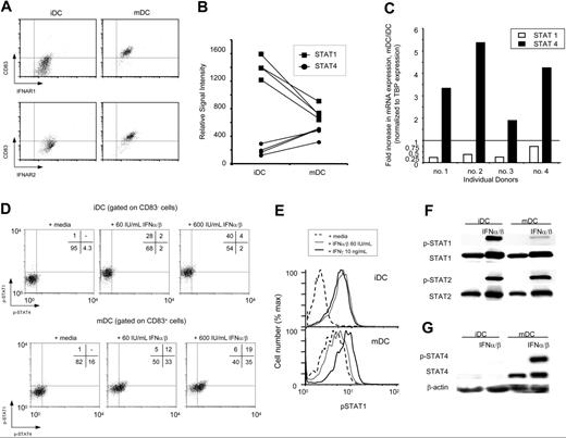 Figure 3. DC maturation alters IFN-α/β signaling by modulating STAT expression. (A) iDCs and mDCs were stained with anti-CD83-Cy5 and mAbs specific for IFNAR1 (AA3, Biogen, Cambridge, MA) or IFNAR2 (MMHAR-2, Calbiochem, San Diego, CA). Anti–mouse IgG PE (Jackson Immunochemicals, Raritan, NJ) was used to visualize anti-IFNAR binding. Dot plots representative of a single donor are shown. Three individuals were evaluated and revealed similar results. (B) Transcriptional analysis of iDCs and mDCs was performed using Affymetrix microarray U133A. Data were analyzed and normalized using MAS5.0. The relative signal intensity of 4 biologic replicates is displayed for STAT1 and STAT4 expression in iDCs and mDCs. (C) Quantitative PCR was performed as described in “Materials and methods.” Fold increase in mRNA expression of mDCs/iDCs is displayed graphically for STAT1 and STAT4 as indicated. (D) iDCs and mDCs were stimulated with media alone or indicated concentrations of IFN-α/β for 30 minutes. Cells were stained with anti-CD83–FITC to identify CD83− iDCs and CD83+ mDCs. Cells were fixed and permeabilized as described in “Materials and methods” and stained for p-STAT1-PE and p-STAT4-APC. Percentage of events in each quadrant is indicated on the respective plot. Data are representative of 3 independent experiments. (E) iDCs and mDCs were stimulated with media alone, 60 IU/mL IFN-α/β, or 10 ng/mL IFN-γ for 30 minutes as indicated. Cells were fixed, permeabilized, and stained for p-STAT1, as described. (F-G) iDCs and mDCs were exposed to 60 IU/mL IFN-α/β for 30 minutes. Protein (20 μg) from the total-cell lysates were run on an 8% SDS-PAGE, transferred to PVDF membranes, and blotted with indicated antibodies. Blots were stripped and probed for total STAT1/2 or β-actin as a control for loading the gel.