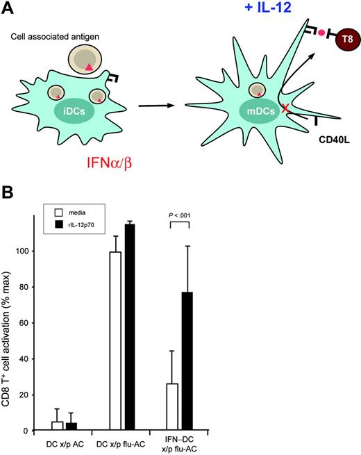 Figure 7. Exogenous IL-12 overcomes IFN-α/β inhibition of CD40-dependent cross-presentation. (A) The schematic illustrates that IFN-α/β treatment (red) of iDCs during antigen capture and maturation inhibits CD40-induced IL-12 production. Exogenous IL-12p70 was added to DC/T-cell cultures and the effect on cross-presentation was assessed by ELISPOT. (B) T-cell activation by DCs cross-presenting apoptotic cells (DC x/p AC), DCs cross-presenting apoptotic cells loaded with influenza antigen (DC x/p flu-AC), or DCs matured in the presence of IFN-α/β cross-presenting influenza antigen (IFN DC x/p flu-AC) was monitored by IFN-γ ELISPOT. In addition to CD40L alone (media), recombinant human IL-12 (rIL-12p70) was added to the DC/T-cell cultures. Data from 3 donors was normalized to the donor-specific maximal T-cell response and the percent maximal T-cell response in the presence or absence of IFN-α/β and IL-12p70 is shown.