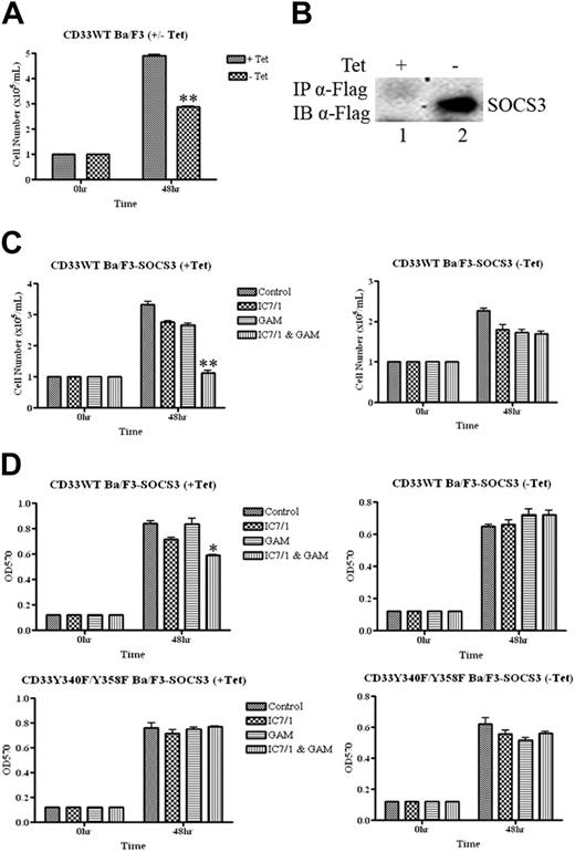 Figure 6. SOCS3 blocks the inhibitory effect of CD33 on proliferation. (A) CD33WT stable Ba/F3-SOCS3 cells seeded at a density of 1 × 105 cells/mL were cultured in the presence or absence of tetracycline (4 μg/mL). Trypan blue exclusion assay determined the viability of the cells at 24-hour intervals. **P < .005 Student t test (B) CD33WT stable Ba/F3-SOCS3 cells were cultured in the presence or absence of tetracycline for 48 hours. They were lysed, immunoprecipitated, and immunoblotted with α-Flag. (C) CD33WT stable Ba/F3-SOCS3 cells seeded at a density of 1 × 105 cells/mL were cultured in the presence or absence of tetracycline. They were incubated with α-CD33 (IC7/1) and cross-linked with GAM. Fresh antibody was added at 24 hours. Trypan blue exclusion assay determined the viability of the cells at 24-hour intervals. **P < .005. (D) CD33WT and CD33Y340F/Y358F stable Ba/F3-SOCS3 cells seeded at a density of 1 × 105 cells/mL were cultured in the presence or absence of tetracycline. They were incubated with α-CD33 (IC7/1) and cross-linked with GAM. Fresh antibody was added at 24 hours. MTT (10 μL; 0.5 mg/mL) was added to 100 μL cell culture and incubated at 37°C for 2 hours at 24-hour intervals. The cells were centrifuged at 235g for 3 minutes and the supernatant was removed. DMSO (200 μL) was added and incubated for 10 minutes at 37°C. Plates were read at OD570 using a microplate reader. *P < .05. Error bars represent SD from triplicate samples.