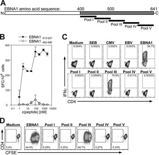 Figure 1. The EBNA1-specific CD4+ T-cell clone A4. E116 responds to EBNA1 peptide pools containing the EBNA1 peptide sequence 513-527. (A) Scheme of EBNA1 amino acid sequence represented by overlapping peptide pools (EBNA1, all EBNA1 peptides; pool I, aa's 400-461; pool II, aa's 452-508; pool III, aa's 499-548; pool IV, aa's 539-593; and pool V, aa's 584-641). (B) ELISPOT assay indicating spots per 104 cells in response to dilutions of peptide 513-527, and a noncognate peptide sequence as a negative control. Error bars indicate standard deviations of duplicates. (C) Intracellular cytokine staining assay for IFNγ in response to EBNA1 peptide pools, known CD8+ T-cell epitopes from CMV and EBV (Table S1), medium alone, and Staphylococcus enterotoxin B (SEB); note significantly positive response to the pool of all EBNA1 peptides and pool III, which both contain peptide 515-529. (D) CFSE proliferation assay in response to EBNA1 peptide pools. The data are representative of 3 independent experiments.