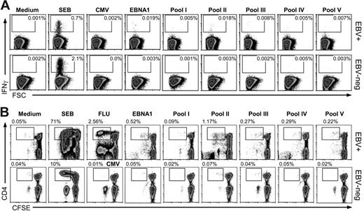 Figure 3. CD4+ T cells respond consistently to EBNA1 with IFNγ secretion and proliferation. EBNA1-specific CD4+ T cells were analyzed by intracellular IFNγ staining and CFSE proliferation assay. CD4+ T-cell responses in response to medium (no stimulus), Staphylococcal enterotoxin B (SEB), HCMV-derived CD8+ T-cell epitopes (CMV), all EBNA1 peptides (EBNA1), and subpools of EBNA1 peptides are shown. (A) Whole-blood assay after gating on lymphocytes based on size and on CD4+ T cells. The frequency of IFNγ-positive CD4+ T cells is indicated. Forward-scatter (FSC; x-axis) and intracellular cytokine staining for INFγ (y-axis) are depicted. The top row represents detected IFNγ responses from one of 20 EBV-positive carriers and the bottom row from one EBV-negative volunteer upon stimulation with the indicated stimuli. Gates for IFNγ-positive cells are based on isotype controls. (B) CFSE dilution assays characterize CD4+ T-cell proliferation in response to the indicated antigens and influenza virus infection (FLU). The frequencies of CD4+ T cells with diluted CFSE are indicated. The top row displays CD4+ T-cell responses from one representative of 20 healthy volunteers. The proliferation responses of an EBV-negative volunteer are depicted in the bottom row.