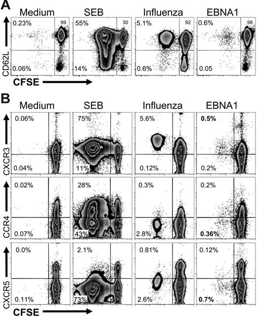 Figure 7. Stability of the central-memory phenotype and chemokine receptor expression on proliferating EBNA1-specific CD4+ T cells. (A) CFSE-labeled CD3+CD4+CD62L+ cells, purified by flow-cytometric cell sorting, were stimulated with the indicated antigens: medium (no stimulus), Staphylococcus enterotoxin B (SEB), influenza A infection (FLU), and the cognate EBNA1 peptide pool I. After 6 days, CD3+CD4+ T cells were analyzed for CD62L expression (y-axis) and CFSE dilution (x-axis). The frequencies of CD3+CD4+ T cells in each quadrant are indicated. One representative of 2 experiments is shown. (B) After gating on CD3+CD4+CD62L+ T cells, proliferation in response to 4 stimuli (medium, no stimulus; SEB, Staphylococcus enterotoxin B; influenza, influenza infection; and EBNA1, master mix of all 51 overlapping peptides of EBNA1) was identified by CFSE dilution (x-axis), and the expression of the indicated chemokine receptors (CXCR3, CCR4, and CXCRR5) was analyzed (y-axis). The frequency of CFSE dilute, and therefore proliferating, CD4+ cells is indicated in the appropriate quadrants. Gates and quadrants were determined after analysis with isotype controls (data not shown). One of 3 experiments is shown.
