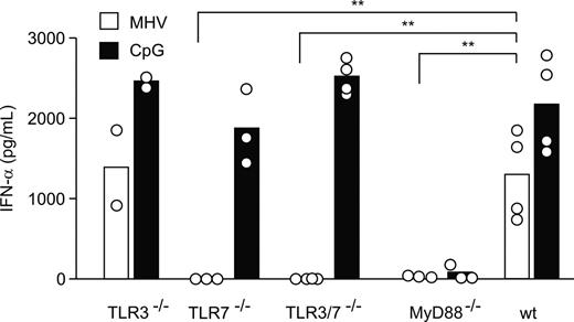 Figure 4. pDCs sense MHV via TLR7. Bone marrow–derived pDCs from TLR3−/−, TLR7−/−, TLR3−/−/TLR7−/−, MyD88−/−, or wt mice were infected with MHV A59 (moi = 1) or treated with CpG oligonucleotides. IFN-α in tissue culture supernatants was determined 24 hours after infection by ELISA. Bars represent means with values from individual mice shown as open circles. Statistical analysis was performed using Student t test (**P < .01).