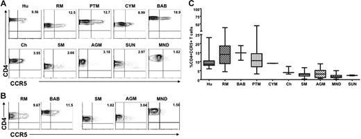 Figure 1. Reduced CCR5 expression on peripheral blood– and LN-derived CD4+ T cells in natural hosts of SIV. (A) Representative contour plots showing CD4 and CCR5 staining of peripheral blood–derived T cells of healthy uninfected individuals belonging to 5 nonnatural/recent hosts of HIV/SIV—humans (Hu), rhesus macaques (RM), pigtail macaques (PTM), cynomolgus macaques (CYM), and baboons (Bab)—and 5 natural hosts of SIV—sooty mangabeys (SM), Caribbean African green monkeys (AGM), mandrills (MND), sun-tailed monkeys (SUN), and chimpanzees (Cy). (B) Representative contour plots showing CD4 and CCR5 staining of T cells isolated from the LNs of RMs, baboons, SM, AGM, and mandrills. (C) Summary of CCR5 expression on blood-derived CD4+ T cells of the primate species listed in panel A. Statistically significant differences in CCR5 expression on CD4+ T cells from natural and nonnatural hosts of SIV was determined by one-way nonparametric ANOVA (Kruskal-Wallis) followed by the Dunn multiple comparison test. For nonnatural human hosts of SIV versus natural AGM hosts of SIV, P < .05; for all other nonnatural hosts versus natural hosts, P < .001.
