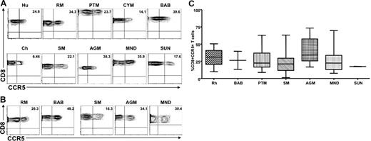 Figure 2. Similar levels of CCR5 are expressed on the surfaces of CD8+ T cells from natural and nonnatural hosts of SIV. (A) Representative contour plots showing CD8 and CCR5 staining of peripheral blood–derived T cells of healthy humans, RMs, PTMs, cynomolgus macaques, baboons, SMs, Caribbean AGMs, mandrills, sun-tailed monkeys, and chimpanzees. (B) Representative contour plots showing CD8 and CCR5 staining of T cells isolated from the LNs of RMs, baboons, SMs, AGMs, and mandrills. (C) Summary of CCR5 expression on peripheral blood–derived CD8+ T cells of the primate species listed in panel A. One-way nonparametric ANOVA (Kruskal-Wallis) followed by the Dunn multiple comparison test found no statistically significant differences (P > .05) in CCR5 expression on CD8+ T cells obtained from natural and nonnatural hosts of SIV. The only exception was SMs with lower levels of CD8+CCR5+ T cells than RMs (P < .05).