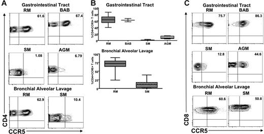 Figure 3. CCR5 expression on T cells derived from MALT in natural and nonnatural hosts. (A) Representative contour plots showing CD4 and CCR5 staining of T cells isolated from the gastrointestinal tract of healthy uninfected RMs, baboons, SMs, and AGMs (top) and the lung (through bronchial alveolar lavage) of healthy uninfected RMs and SMs (bottom). (B) Summary of CCR5 expression on CD4+ T cells isolated from the gastrointestinal tract of the species listed in panel A. Statistically significant differences in CCR5 expression on CD4+ T cells from natural and nonnatural hosts of SIV were observed with the use of one-way nonparametric ANOVA (Kruskal-Wallis) followed by the Dunn multiple comparison test and the Mann-Whitney U test. For nonnatural RM hosts of SIV versus natural SM hosts of SIV, P < .001; and versus natural SGM hosts of SIV, P < .01. For nonnatural BAB hosts versus natural SM and AGM hosts, P < .05. (C) Representative contour plots showing CD8 and CCR5 staining of T cells isolated from the gastrointestinal tract of healthy uninfected RMs, baboons, SMs, and AGMs (top) and the lung (through bronchial alveolar lavage) of healthy uninfected RMs and SMs (bottom).