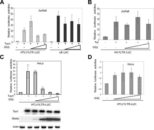 Figure 4. Gβ2 subunit inhibits Tax-1 transactivation activity. (A-B) Ten micrograms reporter plasmids pLTR1-Luc, pκB-Luc, or pHIV1-Luc and different amounts of effector vectors (1 μg pCMVTax-1 or pREP9Tat1 and 10, 100, or 1000 ng pcDNAFlag-Gβ2) were transfected into 107 Jurkat cells according to the DEAE dextran method. Forty-eight hours after transfection, cells were lysed and luciferase activities were determined. Luciferase data were normalized to protein content, and the data are reported as mean ± SD of 3 independent experiments in triplicate. (C-D) HeLa cells (3 × 105) were cotransfected with 3 μg reporter construct pLTR1-Luc, increasing amounts of pcDNAFlag-Gβ2 (10, 100, 500, and 1000 ng) and with or without HTLV-1 Tax–expressing construct (300 ng). Twenty-four hours after transfection, cells were lysed and luciferase activities were determined. An aliquot from each lysate was separated by SDS-PAGE, and Western blot was performed using anti–Tax-1, anti-Flag, and antiactin antibodies.