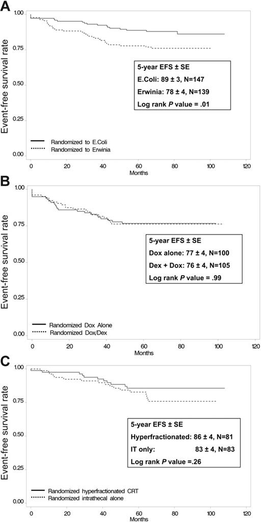 Figure 2. EFS results based on asparaginase, dexrazoxane, and CNS randomization. (A) EFS results of asparaginase randomization. The 5-year EFS for patients randomized to Erwinia asparaginase was 78% ± 4% compared with 89% ± 3% for those randomized to E coli asparaginase (P = .01). (B) EFS results of dexrazoxane randomization (HR patients only). The 5-year EFS for patients randomized to doxorubicin with dexrazoxane was 76% ± 4% compared with 77% ± 4% for those randomized to doxorubicin alone (P = .99). (C) EFS results of CNS randomization (SR patients only). The 5-year EFS for patients randomized to intrathecal therapy only (no radiation) was 83% ± 4% compared with 86% ± 4% for those randomized to 18-Gy cranial radiation (P = .26).