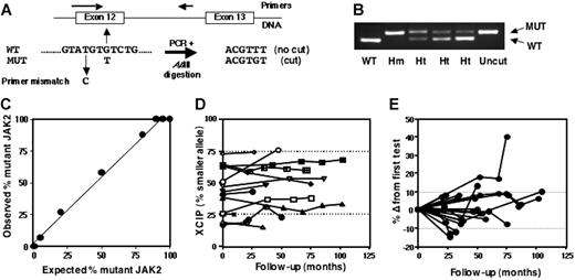 Figure 1. XCIP and V617F JAK2 mutation analysis in patients with ET. (A) Principle of method using a mismatch PCR primer and AflIII digestion of PCR products. (B) Gel showing digested products from a WT control, mutant-positive homozygote (Hm), and 3 heterozygotes (Ht) with differing levels of mutant. (C) Validation of mutant JAK2 quantification assay using mixes of DNA from homozygous WT (HL60) and mutant (HEL) cell lines. (D) Serial analysis of neutrophil XCIPs in 14 patients with polyclonal myelopoiesis. Dotted lines represent the threshold for clonality (> 75% expression of one allele) provided there was more than 20% difference from the T-cell XCIP and the patient was younger than 65 years of age. (E) Serial analysis of mutant JAK2 level in neutrophil samples from 20 mutant-positive patients. Results are expressed as the percentage difference from the first sample tested. Dotted lines represent the limits of technical variation (mean ± 1 standard deviation for percentage difference in mutant level in 46 duplicate analyses).