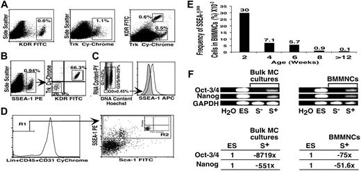 Figure 1. Revealing the hierarchical organization of the murine mesenchymal compartment. (A-C) Representative flow-cytometry plots of mesenchymal cell (MC) cultures from passage 5 (P5). (A) Bulk mesenchymal cultures contain RS1-like cells. (B) SSEA-1 is expressed by some mesenchymal cells and this population is still heterogeneous for KDR and Trk expressions. (C) Hst/PY staining showing that the quiescent (G0) cell subpopulation is highly enriched for SSEA-1–expressing cells. (D) Identification of SSEA-1–expressing cells directly in bone marrow cells. Lineage-depleted BMMNCs were stained for Lin/CD45/CD31, SSEA-1, and Sca-1. Representative FACS-staining profile of cells derived from 2-week-old mice. The negative fraction for the expression of Lin/CD45/CD31 was gated (R1) and plotted for SSEA-1 and Sca-1 expressions. (E) Frequency variation of SSEA-1+ cells during mouse ontogeny. The frequency was calculated by multiplying the percentage of mesenchymal cells in BMMNCs (R1) with that of SSEA-1+ cells in the mesenchymal population (R2) obtained for each group of mice. The analysis was performed on pooled samples of BMMNCs from 8 (2 weeks old), 10 (4 weeks old), 6 (6 weeks old), and 3 (> 12 weeks old; n = 2) mice, respectively, for each group. (F) Expression of Oct-3/4 and Nanog determined by QRT-PCR in SSEA-1+ (S+) and SSEA-1− (S−) cells isolated from MC cultures and directly from the bone marrow (from R1 fraction); representative gel electrophoresis with GAPDH as the internal PCR control is shown. The relative mRNA expressions were obtained after normalizing the cycle threshold (CT) values from each gene with the internal PCR control, then using the ΔCT values from ES cells as a reference. All quantitative results shown are the mean of fold change (x) from 2 independent experiments, each performed in duplicate.