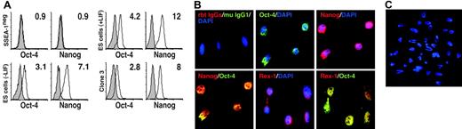 Figure 4. Clonal analysis of the SSEA-1+ population. (A) Flow histograms showing levels of expression of Oct-4 and Nanog in the clone-3–derived population. SSEA-1− MCs and ES cells were used as negative and positive controls, respectively. The numbers indicate the ratio of MFI values from the specific staining over those from the isotype controls. (B) Multicolor immunostaining performed on clone-3 cells at 45 doublings showing nuclear expression of Nanog, Rex-1, and Oct-4. Immnunostainings were performed using Alexa 488– and Alexa 594–conjugated secondary antibodies. Appropriate rabbit IgGs and mouse IgG1 isotype controls were also used and cells were counterstained with DAPI. (C) Representative diploid metaphase spread of clone-3 population. Original magnifications, 40×/0.75 NA dry objective (C) and 100×/0.4 NA oil objective (D).