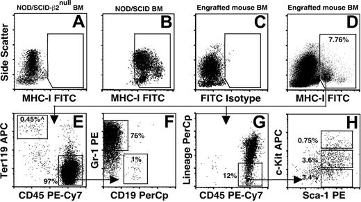 Figure 5. In vivo hematopoietic reconstitution ability of clone-3 SSEA-1+ cells. Representative flow-cytometry plots of bone marrow engraftment analysis from 1 of the recipient mice. The assessment of donor-derived cells was determined by the presence of MHC-I–expressing cells. (A-B) NOD/SCID-β2null and NOD/SCID BMMNCs were used as negative and positive controls, respectively. BMMNCs from each recipient animal were stained with an appropriate isotype control (C) and MHC-I antibodies (D) to determine the percentage of donor-derived cells. Multicolor FACS analysis shows that most donor-derived cells (MHC-I+; gated area of D) were of hematopoietic origin, composed mainly of CD45+ cells (E). Most donor-derived CD45+ cells coexpressed the myeloid antigen Gr-1 (F) and, conversely, were also positive for lineage-committed antigens (G). Some cells with KLS (c-Kitlow/+/Lineage−/Sca-1+) phenotype were also found (G-H).