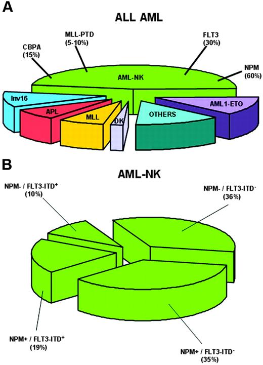 Figure 3. NPM1 mutations closely associate with AML-NK and FLT3-ITD. (A) Pie chart showing cytogenetic alterations in adult AML and frequency of NPM1 gene mutations in AML with normal karyotype (AML-NK). (B) Pie chart showing relationship between NPM1 mutations and FLT3-ITD in AML-NK.