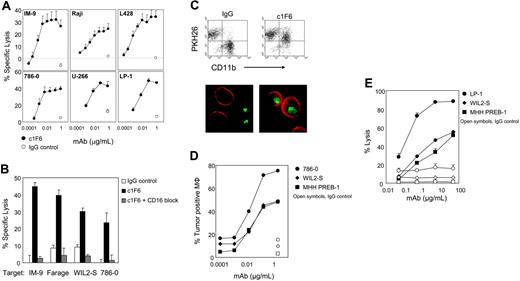 Figure 1. c1F6 mediates ADCC, ADCP, and CDC activity. (A) Specific lysis of c1F6-treated (closed symbols) or nonbinding control IgG1–treated (open symbols) target cells was determined by 51Cr release assay. Target cells were mixed with NK-enriched PBMCs at an effector-target ratio of 10:1. (B) Effector cells were untreated (solid bars) or pretreated with saturating amounts of anti-CD16 blocking antibody (hatched bars) prior to incubation with c1F6-coated target cells. Open bars represent target cells that were mixed with nonbinding control IgG1. (C) Representative flow cytometry analysis and fluorescence microscopy of c1F6-mediated phagocytosis. For flow cytometry, 786-O target cells were labeled with PKH26 lipophilic dye, treated with c1F6 or nonbinding control IgG, then mixed with monocyte-derived macrophages (Mφ). Mφ were stained with AF488-conjugated anti-CD11b. Cells present in the top-right quadrant (PKH26+CD11b+) are Mφ that internalized tumor cells. For microscopy, tumor cells were labeled with PKH67 (green), and the macrophages were detected with Alexa Fluor 568–conjugated antibody specific for CD11b (red). Images were taken with a Leitz Orthoplan Research microscope (100×/1.32 NA objective lens) using a Nikon Coolpix 990 camera (Nikon, Tokyo, Japan), then processed with Adobe Photoshop Elements version 2.0 (Adobe Systems, San Jose, CA). (D) Tumor targets were treated with varying concentrations of c1F6 (solid symbols) or 2 μg/mL IgG1 (open symbols) prior to incubation with Mφ. Percent Mφ that engulfed tumor cells was determined by flow cytometry as in panel C. Internalization of tumor cells by Mφ was confirmed by fluorescence microscopy (not shown). (E) c1F6-treated (solid symbols) or control IgG–treated (open symbols) target cells were incubated at 37°C in 10% human serum. The percentage of nonviable cells was identified by flow cytometry after staining with propidium iodide. (A-B,E) Bars represent SD of triplicate samples.