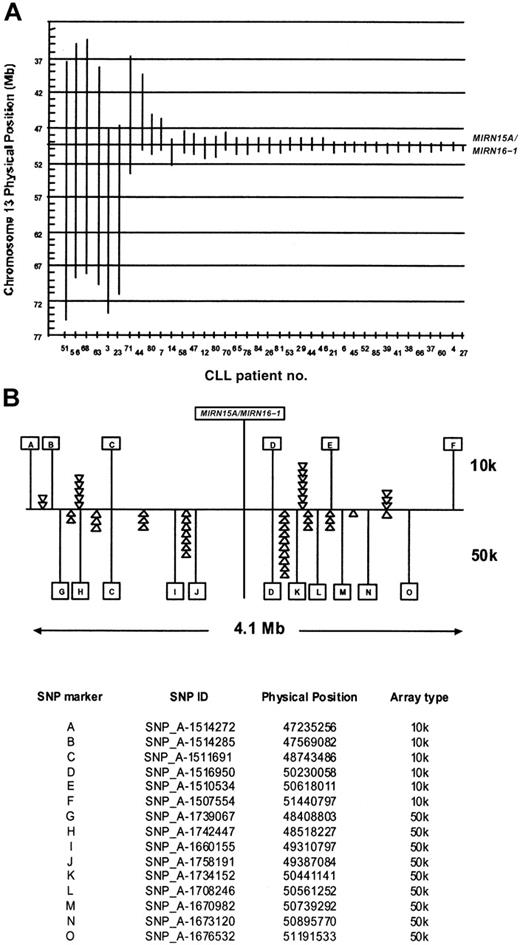 Figure 4. Extension of chromosome 13q14 deletions with regard to the MIRN15A/MIRN16-1 genes. (A) Vertical bars are drawn to visualize the extent of the 13q14 deletions (ordered from left to right according to size) in CLL patients. The x- and y-axes denote the patient identification numbers and the physical position in Mb, respectively. The vertical line at around 49.5 Mb indicates the position of the MIRN15A/MIRN16-1 genes. In 2 patients (no. 44 and no. 80), biallelic deletions were present with the 2 alleles differing largely in size, allowing their distinction by copy number analysis. (B) The 4.1-Mb region around the MIRN genes. Letters denote individual SNPs that define by their presence or absence in which inter-SNP interval a breakpoint is located. The top panel shows 6 of 13 SNPs and the lower panel 11 of 48 SNPs present on the 10k and 50k arrays, respectively. The triangles denote one individual breakpoint defined by the presence of the SNP to the right (ie, on the distal side) and the absence of the SNP to the left (ie, on the proximal side). A prominent clustering of breakpoints in certain SNP intervals indicates potential recombination hot spots in this region. The table at the bottom of panel B indicates the allocation of letters and their corresponding SNPs on the 10-K and 50-K arrays.