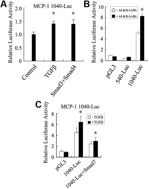 Figure 6. TGF-β stimulates MCP-1 promoter activity. (A) TGF-β and Smad3/Smad4 enhanced the activity of the MCP1 promoter in HMVECs. HMVECs were transfected with MCP-1 1040-luciferase or cotransfected with Smad3 and Smad4. After being serum-starved for 24 hours, the cells were treated with or without TGF-β1 for another 20 hours prior to being harvested for luciferase activity measurement. (B) The −1040-bp to −540-bp region of the MCP-1 promoter was important to respond to TGF-β stimulation. HepG2 cells were transfected with various constructs as indicated. The cells were then harvested for luciferase measurement 40 hours later. (C) Smad7 inhibited the TGF-β–induced expression of the 1040-luciferase reporter. HepG2 cells were transfected with reporters together with or without Smad7. Luciferase assay was performed similarly as in panel A. The asterisk indicates a significant difference compared with the control (*P < .05; n = 3). Error bars indicate SD.