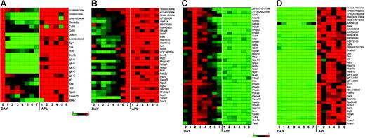 Figure 4. A subset of genes is dysregulated in most murine APL samples. Expression profiles from GeneChip analyses designed to identify genes that were dysregulated in APL leukemic cells when compared with G-CSF–differentiated normal myeloid cells. APL expression was compared with 3 time points in the differentiation assay to capture the least and most differentiated myeloid cells (day 0, day 7) and the time point most enriched for promyelocytes (day 2). See “Materials and methods” for the algorithms used for each analysis (sets A-D). Heat maps show gene expression as a ratio of each sample to the reference sample in a continuous color range (green to red) of 0 to 1 (A, day 0; B, day 7; C, day 2; D, average of 6 APL samples). The same differentiation experiment (from set 1) is shown in each heat map. (A) Nineteen genes were highly expressed on day 0 and in APL cells, and had much lower expression on days 1 to 7 (set A). (B) Twenty-nine genes were highly expressed on day 7 and in APL cells, and had much lower expression on days 0 to 6 (set B). (C) Thirty-six genes were maximally expressed on day 2, had much lower expression on the other days, and in APL had less than 0.2 times the expression on day 2 (set C). (D) Thirty-two genes were highly expressed in APL cells and had much lower expression on day 2 (set D).