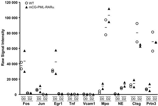 Figure 7. Expression patterns of common pathway genes in preleukemic early myeloid cells. Two grouping variable category graphs display raw signal intensity values for the common pathway genes, and for several abundantly expressed azurophil granule genes. Myeloid differentiation studies were performed as shown in Figure 1. Two independent pools of wild-type mice and 2 independent pools of mCG-PML-RARα mice were used in the study. Cells were harvested on days 0 and 2 of differentiation, and array-based expression analysis was performed. The data for the common pathway genes are representative of nearly all genes in the APL dysregulome.