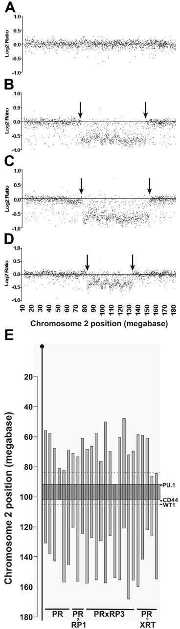 Figure 2. Chromosome 2 complete tiling path aCGH plots and mapping of the minimally deleted region. Genomic DNA was fragmented and labeled by random priming in a reaction containing a Cy3-dCTP (green test samples, APL) or a Cy5-dCTP (red reference samples, control DNA) fluorophore. Cohybridization with the test and reference DNA was performed overnight, followed by washing and imaging. The resultant green-to-red log2 ratios were calculated and plotted by chromosomal location. Fifteen of the 35 samples analyzed with aCGH were previously analyzed with spectral karyotyping (SKY). We detected del(2) in 3 of 5 tumors that did not contain del(2) with SKY. Six of the 35 samples were previously analyzed with fluorescence in situ hybridization (FISH), and 1 PR+XRT sample that contained del(2) by FISH was not detected using aCGH. This sample contained del(2) in only 20% of cells, which is below the limit of detection using aCGH (M.J.W., R.E.R., T.J.L., unpublished observations, November 2006). (A) Log2 plot from an APL sample with a normal chromosome 2. (B-D) APL samples with interstitial deletions on chromosome 2 produce a negative log2 ratio for BAC probes located within the deletion. Arrows indicate deletion boundaries. (E) Twenty-five APL samples from various genotypes of mice contained del(2) by aCGH. Vertical bars indicate the boundaries of the interstitial deletions. Dashed lines indicate the boundaries of del(2) based on a radiation-induced AML model (84-105 megabases) that used simple sequence length polymorphisms to map deletion end points.6 Gray shaded rectangle (90-101 megabases) identifies the minimally deleted region (MDR) defined by aCGH. PU.1 is located within the aCGH defined MDR, whereas CD44 and WT1 genes are located distal to the telomeric border.