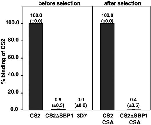 Figure 4. Adhesion of P falciparum–infected erythrocytes to CSA. CS2 parent and CS2ΔSBP1-infected erythrocytes were compared before and after panning and subsequent growth for adherence to CSA. Binding of 3D7-parasitized erythrocytes was included as a negative control. Data represents average ± standard deviation (n = 3). Numbers are expressed as the percentage of CS2 parental binding (bound erythrocyte/mm2). The mean number of bound infected erythrocytes per squared millimeter for CS2 parental binding was 1240 above bovine serum albumin control.