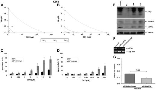 Figure 3. Synergistic effects of HI and imatinib on K562 cells. (A-B) MTT assay. Isobologram plots for the effects of imatinib and CPX (A) or GC7 (B) on cellular cytotoxicity. Cells were incubated with CPX or GC7 plus imatinib for 48 hours. Proliferation was assessed with an MTT-based assay. Results were analyzed with Calcusyn software. (C-D) Apoptosis. Cotreatment with subapoptotic concentrations of imatinib and CPX (C) or GC7 (D), respectively, increased apoptosis in K562 cells. Apoptotic cell fractions were measured by PI-staining. Values (mean ± SD of 3 experiments) are depicted as bar graphs. (E) Phosphorylation. Compared with imatinib, no effects of HI on tyrosine, STAT5, or CRKL phosphorylation was observed in K562 cells. (F-G) Lentiviral delivery of siRNA directed against eIF5A in K562 cells. (F) RT-PCR analysis with total RNA from stable K562 cells was performed with a pair of primers amplifying an approximately 476-bp sequence of eIF5A. The mRNA level of eIF5A was normalized to the endogenous 18S rRNA level, as indicated. (G) eIF5A–specific siRNA sensitizes K562 cells to imatinib in the cell viability assay.