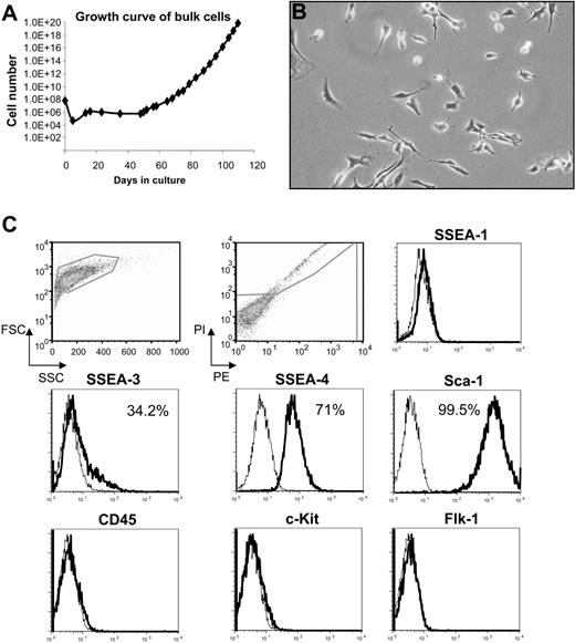 Figure 1. Characterization of primitive adherent BM cells. (A) Growth curve of cells derived from bone marrow (BM) of Rosa 26-LacZ mice; (B) their morphology under an inverted microscope (original magnification, 10×/0.3 NA Ph1), and (C) expression of surface markers at 39 cell doublings (≅ 100 days in culture). Histogram profiles are gated on forward and side scatters, and PI-negative (live) cells are shown in the first 2 panels. Plots show isotype control staining profile (thin line) versus specific antibody staining profile (thick line). Percentages represent the fraction of cells that express a given surface antigen.
