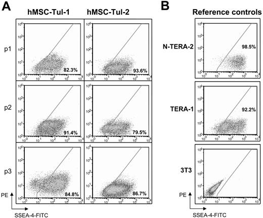 Figure 5. SSEA-4 levels in established human MSCs. Flow cytometry analyses of SSEA-4 expression in (A) standardized preparations of mesenchymal stem cells obtained from the Tulane Center for Gene Therapy at different passages and (B) reference controls for levels of expression; EC cell lines, N-TERA-2 and TERA-1 and 3T3 fibroblasts. Fluorescence intensity of SSEA-4 is observed in the x-axis. Percentages represent the fraction of cells that express SSEA-4. The y-axis represents PE, which provides a measure of autofluorescence.