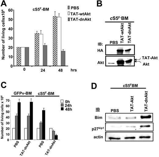 Figure 6. Specific inhibition of cS5F-induced cell growth by the recombinant TAT-dnAkt protein. (A) cS5F BM cells were grown in the presence of PBS, TAT-wtAkt, or TAT-dnAkt fusion proteins (100 nM), and the cells were counted daily using the trypan blue dye assay. Results are the mean of 3 independent experiments. (B) cS5F BM cells were transduced with the different TAT-Akt fusion proteins during 24 hours, and the presence of the recombinant proteins was detected by immunoblotting with the indicated antibodies. (C) GFPv BM cells and cS5F BM cells were transduced with 100 nM TAT-dnAkt fusion protein, and the number of living cells was enumerated daily. Results are the mean of 3 independent experiments. (D) Expression of Bim and p27kip1 was evaluated by Western blotting in cS5F-expressing BM cells transduced or not with recombinant TAT-Akt.