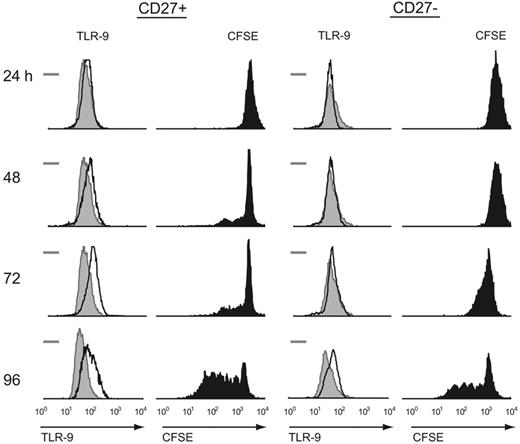 Figure 2. Intracellular TLR-9 correlates with proliferation following CpG DNA stimulation for both naive (CD27−) and memory (CD27+) B cells. Intracytoplasmic TLR-9 was measured by flow cytometry immediately after isolating naive and memory B cells (shaded histogram) for both populations. The bar represents the isotype control measurement. Simultaneous intracytoplasmic TLR-9 and CFSE measurements were obtained following CpG DNA stimulation in the presence of IL-2, IL-10, and IL-15 at the time intervals listed for each population. Both cell types expressed a basal level of intracytoplasmic TLR-9, while memory B cells had a faster increase in intracytoplasmic levels than their CD27− counterparts. Results are representative of 7 independent experiments from different blood donors.