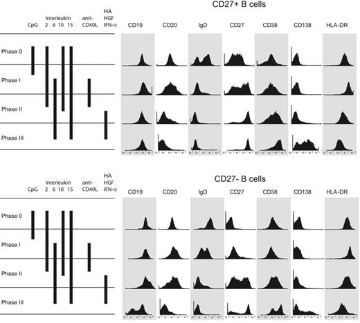 Figure 3. Surface phenotype of CpG DNA2006 activated CD27+ and CD27− B cells with CD138 induction. Surface phenotype of the CD27+ and CD27− peripheral blood B cells beginning with the initial isolation and following each culture phase. Both CD27+ and CD27− B cells were activated by CpG DNA and underwent plasmablast differentiation, ultimately resulting in a surface phenotype characteristic of human bone marrow–resident plasma cells: CD20−, CD38+++, CD138++, and HLA-DR−. Results are representative of 15 independent experiments from 12 different blood donors.