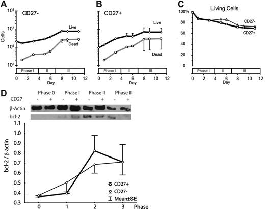 Figure 4. Death of CD27+- and CD27−-derived plasma cells during differentiation in vitro. (A-B) At the indicated time points, cells were stained with trypan blue, and the absolute number of live (open diamonds with black lines) and dead (open circles with gray lines) cells were counted. (C) The percentage of living cells at each culture day for CD27− (open triangles with thin line) and CD27+ (open squares with thick line) cells. (D) Western blot analysis of bcl-2 protein expression during in vitro plasma-cell differentiation from naive (thin line) and memory (solid line) B-cell precursors. (A-D) Error bars are mean ± standard error for all plots (n = 2 experiments from 2 subjects).