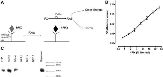 Figure 2. Analysis of the functional activity of hFIX expressed in macaques. Schematic of the functional assay, which relies on the ability of the polyclonal rhesus anti-hFIX antibodies to selectively capture hFIX in rhesus plasma, which is then activated by activated factor XI. This was incubated with factor X (FX) in the presence of cofactor (FVIIIa) and phospholipids to generate activated FX (FXa). The amount of FXa is quantitated using chromogenic substrate S2765. (B) A typical standard curve obtained with our functional immunocapture assay demonstrating a relatively linear range for detection of human FIX over 1% to 50% of normal levels using dilutions of human NPP in naive rhesus plasma. (C) Western blot after affinity purification of equivalent amounts of rhesus plasma; 10% SDS-PAGE of affinity-purified hFIX. Lane 1, fresh frozen plasma (FFP) as a positive control; lane 2, sample from monkey M2-sc that received vector into the portal circulation; lane 3, sample from monkey M5-sc that received vector into the systemic circulation; lanes 4 to 6, naive rhesus plasma from 3 animals that had not been transduced with AAV vectors; lane 7 represents 2 mU of affinity-purified hFIX (Replenine) as an additional positive control.