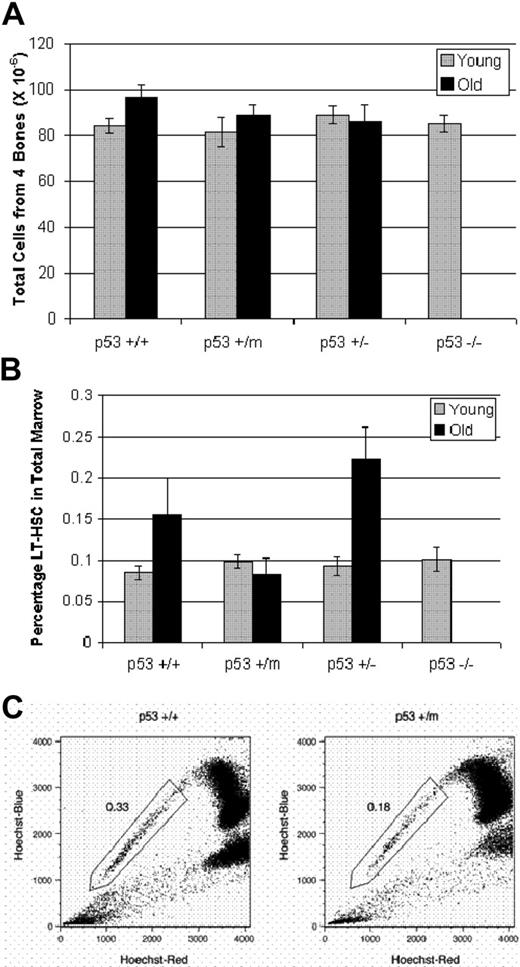 Figure 1. Hematopoietic stem cells exhibit p53-dependent differences in stem-cell numbers in old mice. (A) Numbers of total bone marrow cells from young and old p53+/+, p53+/m, p53+/−, and p53−/− mice were obtained from hind limbs, counted manually and shown to be similar. Results represented are the mean ± SE of 10 to 14 mice per age/genotype. (B) LT-HSCs identified as lin−/lo, Sca-1+, c-kit+, and Flk-2− were selected by whole bone marrow antibody staining and subsequent flow cytometry. The experiments were performed in triplicate; n = 10 for young mice and n = 6 for old mice. Results shown represent the mean ± SE of the experiments. An increase in LT-HSC numbers is shown with age in p53+/+ and p53+/− bone marrow but not in p53+/m bone marrow. (C) Whole bone marrow was stained with Hoechst 33342 and enriched for Sca-1+ cells to identify the side population (SP) HSCs. SP-HSCs isolated from 12-month p53+/m bone marrow are reduced approximately 50% in number compared with SP-HSCs isolated from 12-month p53+/+ bone marrow. Numbers shown are for Sca-1+–enriched bone marrow, which enriches approximately 10-fold for SP cells.