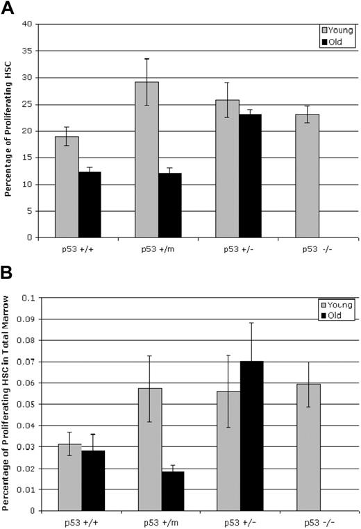 Figure 2. Hematopoietic stem cells display p53-dependent differences in proliferation in old mice. (A) Whole bone marrow was labeled with BrdU for 16 hours before numbers of BrdU+, lin−/lo, Sca-1+, or c-kit+ HSCs were assessed by flow cytometry. BrdU incorporation was reduced in HSCs obtained from old p53+/+ and p53+/m mice but not in HSCs from old p53+/− mice. Results shown represent the mean ± SE of 2 experiments using a total of 5 (young) or 7 (old) mice. (B) The fraction of proliferating HSCs in the bone marrow of old mice is dependent on p53 status. The number of HSCs for each p53 genotype in Figure 2B was combined with the fraction of proliferating HSCs for each p53 genotype to determine the total number of proliferating HSCs in the bone marrow for each p53 genotype.