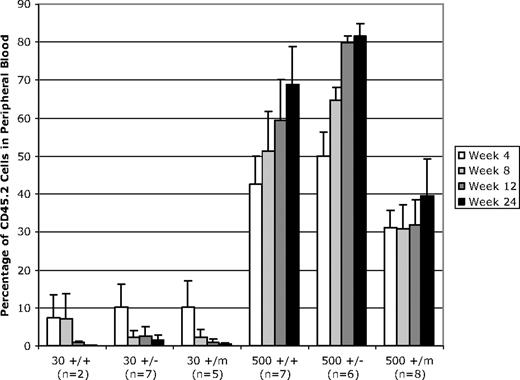 Figure 3. Limiting-dilution transplantation of 500 LT-HSCs (but not 30 HSCs) from old wild-type and p53 mutant mice results in differential white blood cell reconstitution in lethally irradiated recipients. LT-HSCs were isolated from CD45.2 donor mice based on their status as lin−/lo, Sca-1+, c-kit+, Flk-2−. Either 30 or 500 LT-HSCs from CD45.2 test mice were injected into marrow-ablated CD45.1 recipients. Recipient mice were analyzed 4, 8, 12, and 24 weeks after transplantation to assess the percentage of peripheral white blood cells produced from transplanted CD45.2 LT-HSCs. These experiments were performed in duplicate. For each experiment, 3 old donor mice of the same genotype were used, donor cells were pooled, and HSCs were isolated and injected into 6 irradiated recipient mice. Error bars indicate standard error of the mean.