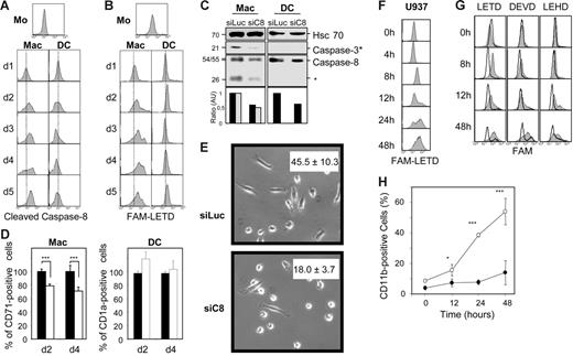 Figure 1. Caspase-8 involvement in monocyte differentiation into macrophages. (A-B) Human monocytes (Mo) were purified from healthy donor peripheral blood and exposed for indicated times to 100 ng/mL M-CSF to trigger their macrophagic differentiation (Mac) or 100 ng/mL GM-CSF plus 10 ng/mL IL-4 and 50 μM β-mercaptoethanol for inducing their differentiation into dendritic cells (DC) before flow cytometry analysis of (A) cleaved caspase-8 expression and (B) FAM-LETD cleavage activity. (C-E) Monocytes were transfected with either Luciferase (siLuc) or caspase-8 siRNA (siC8). (C) Expression of caspase-8 and cleavage fragments and cleaved caspase-3 were analyzed by immunoblotting. Hsc70 indicates loading control. Molecular weights are indicated in kDa. The asterisk indicates cleavage fragments. Caspase-8 (▪) and cleavage fragments (⊡) were normalized to Hsc70 expression and represented as fold decreases. (D) Expression of CD71 or CD1a was studied by fluorescence-activated cell sorting (FACS) analysis. Results are normalized to values obtained in cells transfected with luciferase siRNA; ▪, siLuc; □, siC8. (E) Percentages of cells with a fibroblastic-like shape, indicating macrophagic differentiation, as observed microscopically (mean ± SD of 3 measurements). (F) U937 cells were treated with 20 nM TPA for indicated times before flow cytometry analysis of FAM-LETD cleavage activity. (G-H) U937 cells were stably transfected with an empty vector or a vector encoding a caspase-8 dominant-negative mutant (C8-DN) before flow cytometry analysis of (G) FAM-LETD, FAM-DEVD, and FAM-LEHD cleavage activities (gray curves, control vector; white curves, C8-DN) and (H) CD11b expression at the cell surface (○, control vector; •, C8-DN). One representative of at least 3 independent experiments is shown or mean ± SD of 3 independent experiments. *P < .05; ***P < .005.