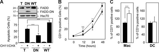 Figure 4. Influence of FADD constructs on the differentiation pathway. (A-B) U937 cells were infected with lentiviral constructs encoding either EGFP alone (T or ○) or wild-type FADD (WT or ▪) or mutated FADD in which the death effector domain has been partly deleted (DN or •), then selected on EGFP expression by cell sorting. (A) Expression of FADD (24 kDa) and FADD-DN (17 kDa) was analyzed by immunoblotting. HSC70 indicates loading control. Molecular weights are in kilodaltons. Cells were either left untreated or treated with 100 ng/mL CH11 Fas antibody plus 0.8 μg/mL CHX for 6 hours before measuring the percentage of apoptotic cells after Hoechst 33352 staining of the nuclear chromatin. (B) Cells were exposed to 20 nM TPA for indicated times before measuring CD11b expression by flow cytometry. (C) Monocytes were infected with lentiviral constructs encoding either EGFP alone (▪) or wild-type FADD (□) and treated for 4 days as in Figure 1 to induce their differentiation into macrophages (Mac) or dendritic cells (DC) before flow cytometry analysis of the cell-surface expression of CD71 or CD1a. Results are normalized to EGFP-infected monocytes. Results are the mean ± SD of at least 3 independent experiments. **P < .01; ***P < .005; NS indicates not significant.