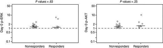 Figure 3. Baseline levels of p-ERK and p-AKT in responders versus nonresponders. Baseline (pretreatment) expression levels of phosphorylated ERK and AKT from bone marrow samples were measured and normalized, as described in “Patients, materials, and methods.” No difference in baseline expression levels of p-ERK or p-AKT was detected between responders and nonresponders. Horizontal bars represent median p-ERK and p-AKT normalized levels.