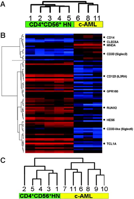 Figure 1. Clustering of gene-expression and high-resolution array-based CGH data. (A) Unsupervised hierarchic clustering of gene-expression profiles demonstrating 2 distinct groups. (B) Supervised analysis revealing differentially expressed genes between the 2 groups (genes discussed in this paper are listed on the right). (C) Unsupervised hierarchic clustering of array-based CGH data. Numbers correspond to cases as described in Tables 1 and 2.