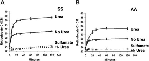 Figure 3. Effect of urea on volume reduction in sickle and normal reticulocytes. Cells were swollen by nystatin treatment and incubated in isotonic HBS pH 7.4 (no urea) or the same buffer plus 600 mM urea. (A-B) Sulfamate media were Cl free. Data points are means ± SEMs of 3 independent experiments. (C-D) Inhibition of DIOA. The concentration of KCC transport inhibitor, DIOA, when present, was 100 μM. Single experiments with SS and AA cells are depicted, representative of 2 others with both cell types.